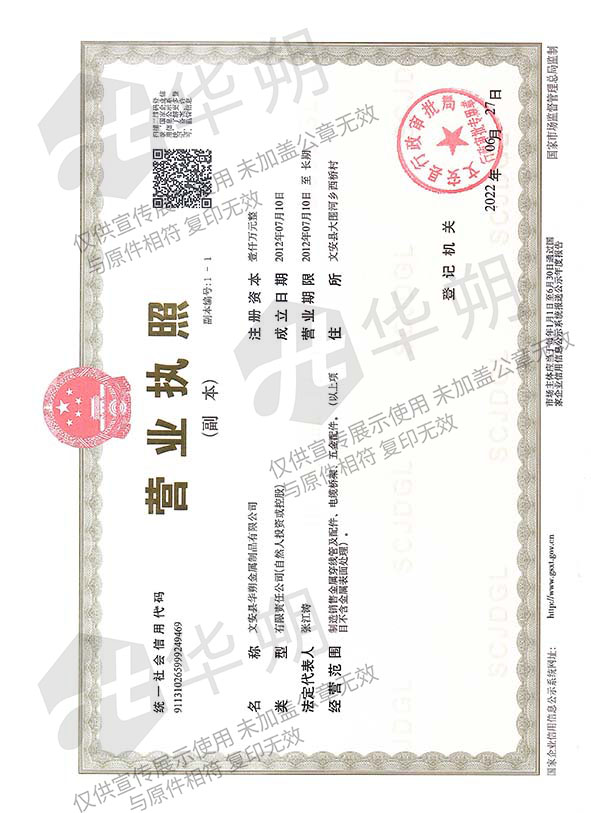 公司執(zhí)照